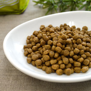 新鮮な食材 ナウフレッシュ グレインフリー スモールブリード パピー 800g ドッグフード NOW FRESH Grain Free【k小型犬/ドッグフード/】