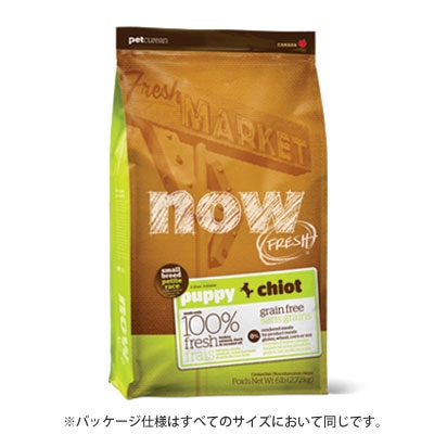 新鮮な食材 ナウフレッシュ グレインフリー スモールブリード パピー 800g ドッグフード NOW FRESH Grain Free【k小型犬/ドッグフード/】