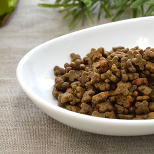 新鮮な食材 ナウフレッシュ グレインフリー スモールブリード アダルト 1.59kg ドッグフード NOW FRESH Grain Free【小型犬/ドッグフード/】