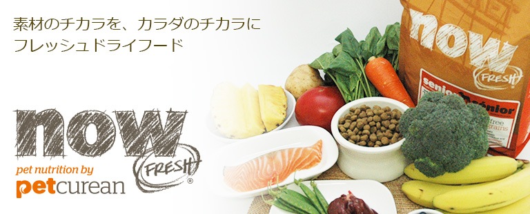 新鮮な食材 ナウフレッシュ グレインフリー アダルト 1.59kg ドッグフード NOW FRESH Grain Free【犬/ドッグフード/】