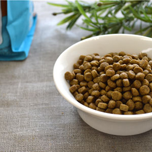 新鮮な食材 ナウフレッシュ グレインフリー フィッシュアダルトキャット 350g キャットフード NOW FRESH Grain Free【猫/キャットフード/】