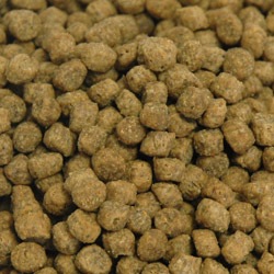 新鮮な食材 ナウフレッシュ グレインフリー シニアキャット&ウェイトマネジメント 7.25kg キャットフード NOW FRESH Grain Free【猫/キャットフード/】