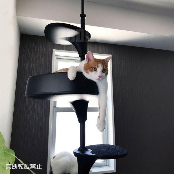 自由自在なキャットタワー♪ OPPO(オッポ) CatForest (キャットフォレスト) ブラック [正規品【猫 キャットタワー おしゃれ つっぱり】