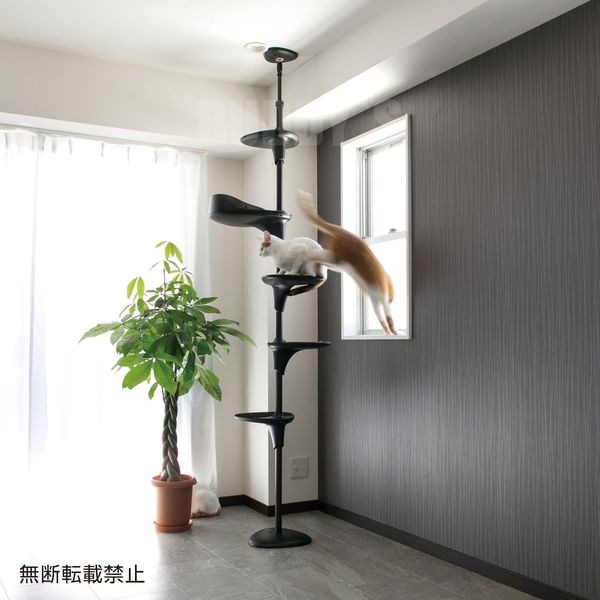 自由自在なキャットタワー♪ OPPO(オッポ) CatForest (キャットフォレスト) ブラック [正規品【猫 キャットタワー おしゃれ つっぱり】