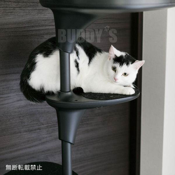 自由自在なキャットタワー♪ OPPO(オッポ) CatForest (キャットフォレスト) ブラック [正規品【猫 キャットタワー おしゃれ つっぱり】