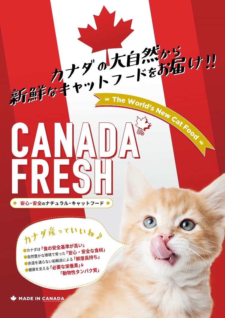 カナダフレッシュ 猫用総合栄養食 サーモン 156g ウェットフード 缶詰【猫/高品質/キャットフード】