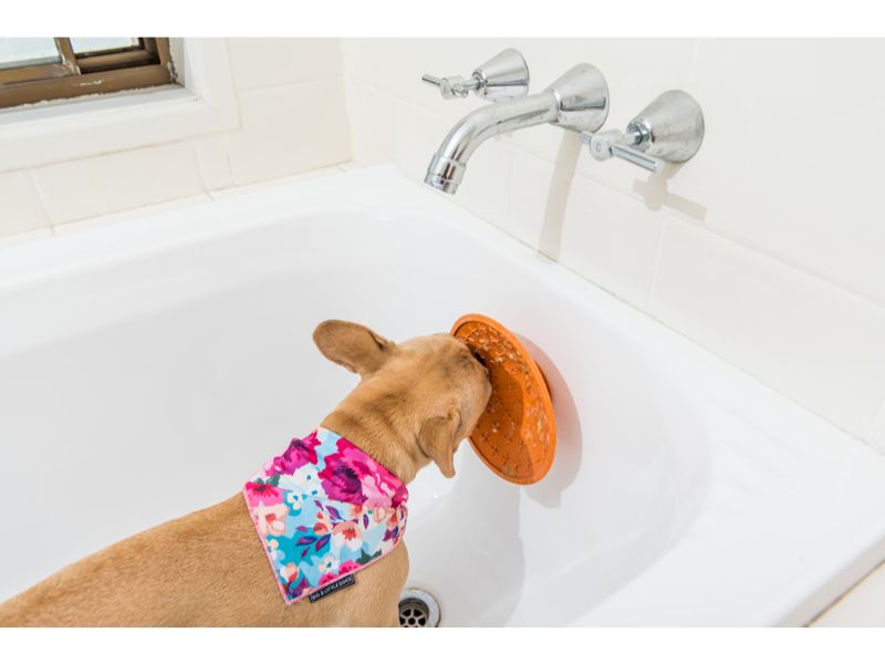 早食い防止に リッキーマット スプラッシュ ブルー 【犬/お皿/早食い】