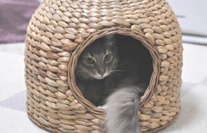 【送料無料】お気に入りのスペースに キティグラスドーム シンシアジャパンナ Sincere Japan【猫/キャリー/ベッド/猫/手作り/隠れ家】