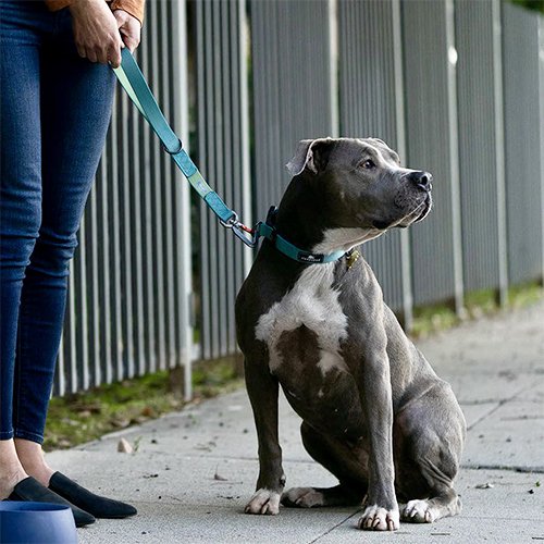 大型犬向けショートリード sleepypod Traffic Leash 犬用 リード Dog 全4色【犬/リード/】