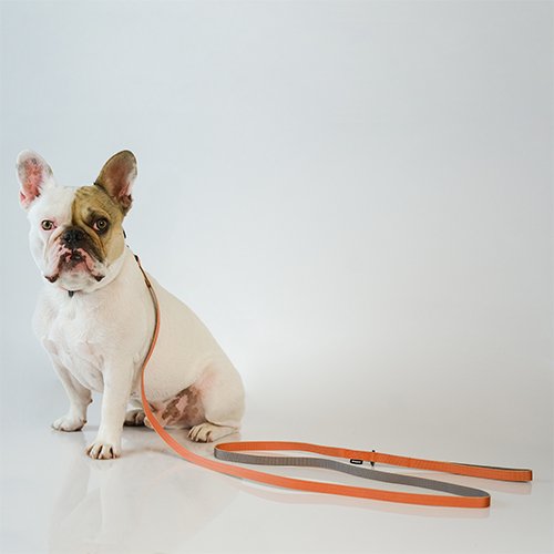 猫や小型犬・中型犬向けリード sleepypod Slim Leash 犬・猫用 リード 全4色【犬/リード/猫】
