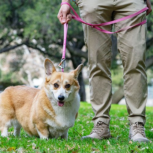 小型犬から大型犬向けリード sleepypod Power Leash Lサイズ 犬 リード 全4色【犬/リード/】