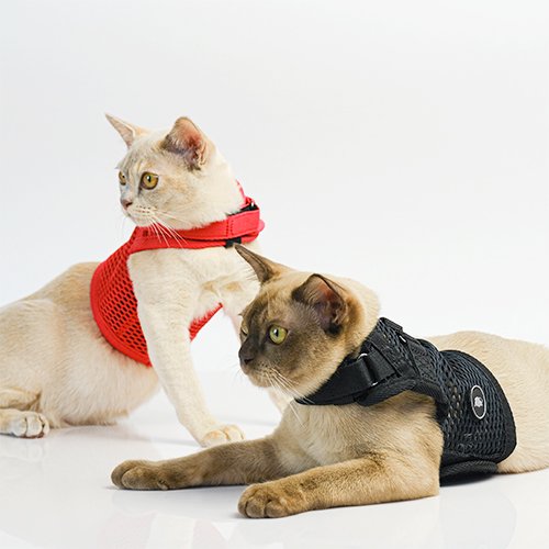 猫用ハーネス sleepypod Martingale キャットハーネス Mサイズ Cat Harness 全5色【猫/ハーネス/胴輪/】