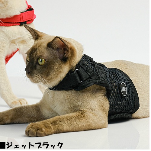 猫用ハーネス sleepypod Martingale キャットハーネス Mサイズ Cat Harness 全5色【猫/ハーネス/胴輪/】
