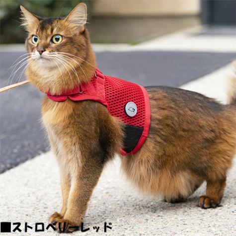 猫用ハーネス sleepypod Martingale キャットハーネス Mサイズ Cat Harness 全5色【猫/ハーネス/胴輪/】