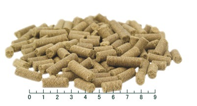 TRIBAL トライバル フレッシュターキー 2.5kg【犬/穀物不使用/ドッグフード】