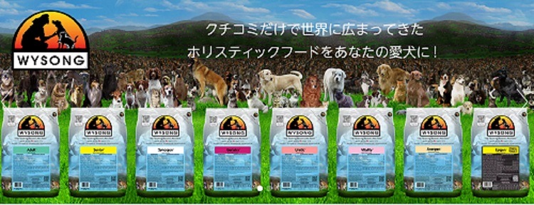 ワイソン ジュリアトリクス 9.08kg シニア猫 キャットフード Wysong Oirginal Diets【猫/キャットフード/ナチュラル】