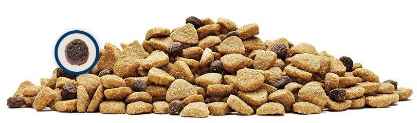 ブルーバッファロー 子猫用 チキン&玄米レシピ キャットフード 2kg ライフプロテクション・フォーミュラ 【猫/自然素材/子猫】