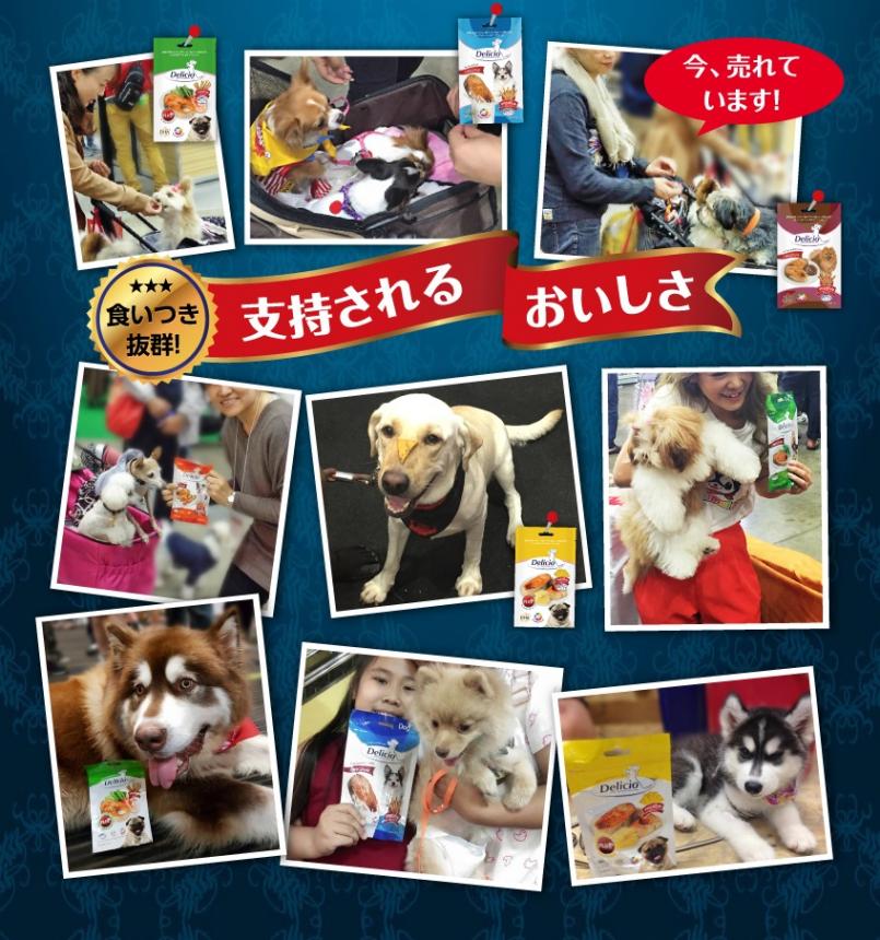 【メール便対応可】ノルウェー産サーモンのおやつ デリシオ オリジナル サーモン&チキンレバー 70g 【犬/おやつ/魚/アレルギーじ/ジャーキー】