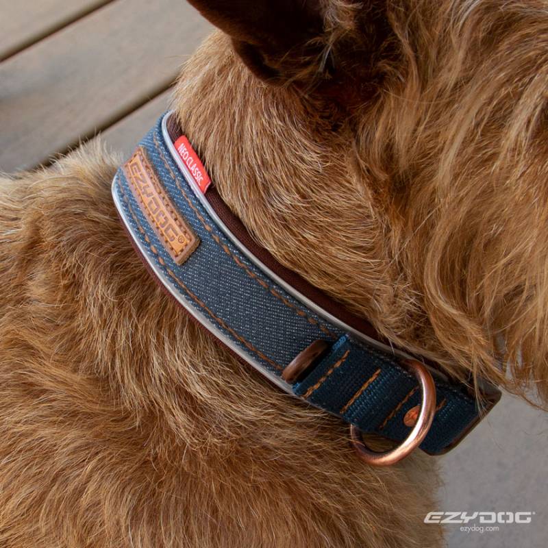 EZY DOG プレミアム デニム コレクション ネオカラー Mサイズ イージードッグ【犬/ハーネス/首輪/犬用/】