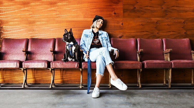 EZY DOG プレミアム デニム コレクション ダブルロックカラー Mサイズ イージードッグ【犬/ハーネス/首輪/犬用/】