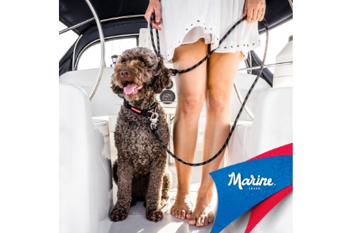 アウトドアなどで使いやすく丈夫なリード EZY DOG マリンリード 【全4色】 イージードッグ 【犬/リード/ランニング/散歩】