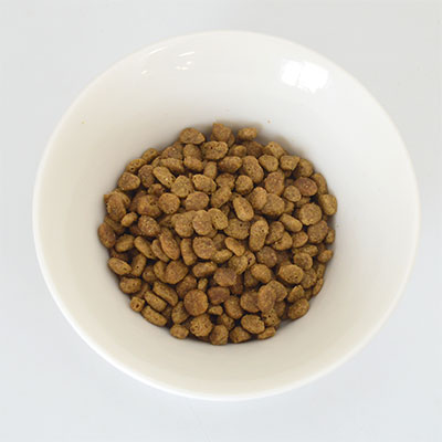 安心のオーガニック素材 ギャザー フリーエーカー キャット 1.81kg キャットフード GATHER【猫/キャットフード/オーガニック】