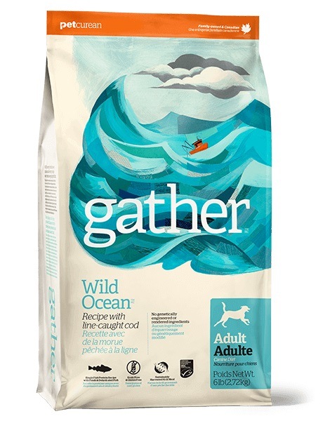 安心のオーガニック素材 ギャザー ワイルドオーシャン 454g ドッグフード GATHER【犬/ドッグフード/オーガニック】