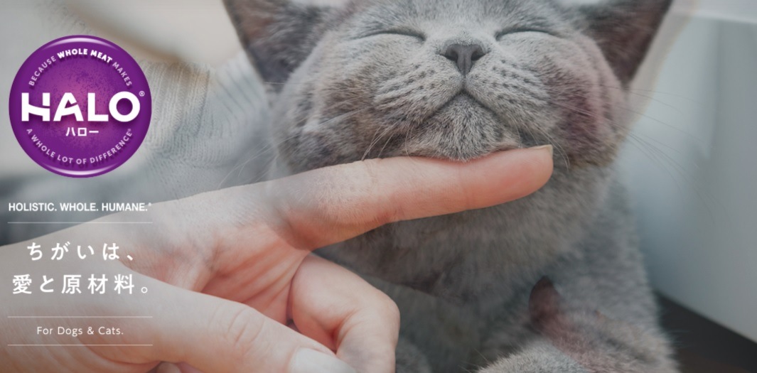 こだわりぬいた原材料 HALO ハロー キャットフード キトン 平飼いチキン 400g 子猫・母猫用 【/ナチュラル/アレルギー/猫】