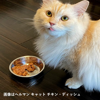 【ケース販売】トッピングにおすすめ! ヘルマン キャット ホワイトフィッシュ・ディッシュ 80g×12 Herrmann【ウェット/猫/】
