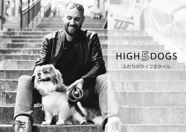 エレガントで機能的な首輪 HIGH5DOGS レザーカラー Lサイズ 全2色 【犬/胴輪/革】