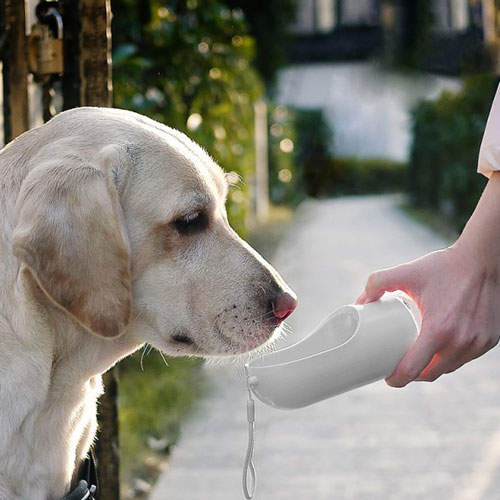 片手で給水 PETKIT(ペットキット) ワンタッチ・ウォーターボトル 300ml ホワイト【犬/給水/お散歩/】