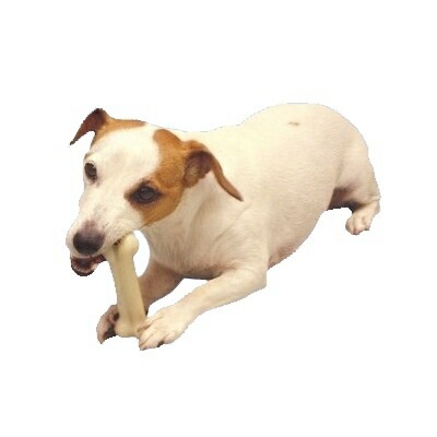口腔内を健康に保ちストレス解消に 犬用 スポーン マローボーン Mサイズ 【犬/おもちゃ/デンタルケア】