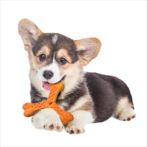 抗菌デンタルトーイ ドギーデント プラス トリオ M チキン【犬/おもちゃ/歯磨き】