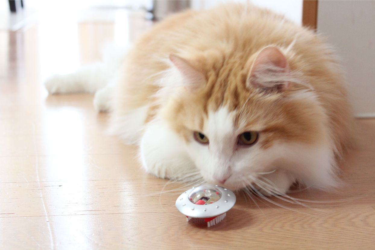 電動の猫用おもちゃ エルシック UFOクリッター【猫/おもちゃ/猫じゃらし】