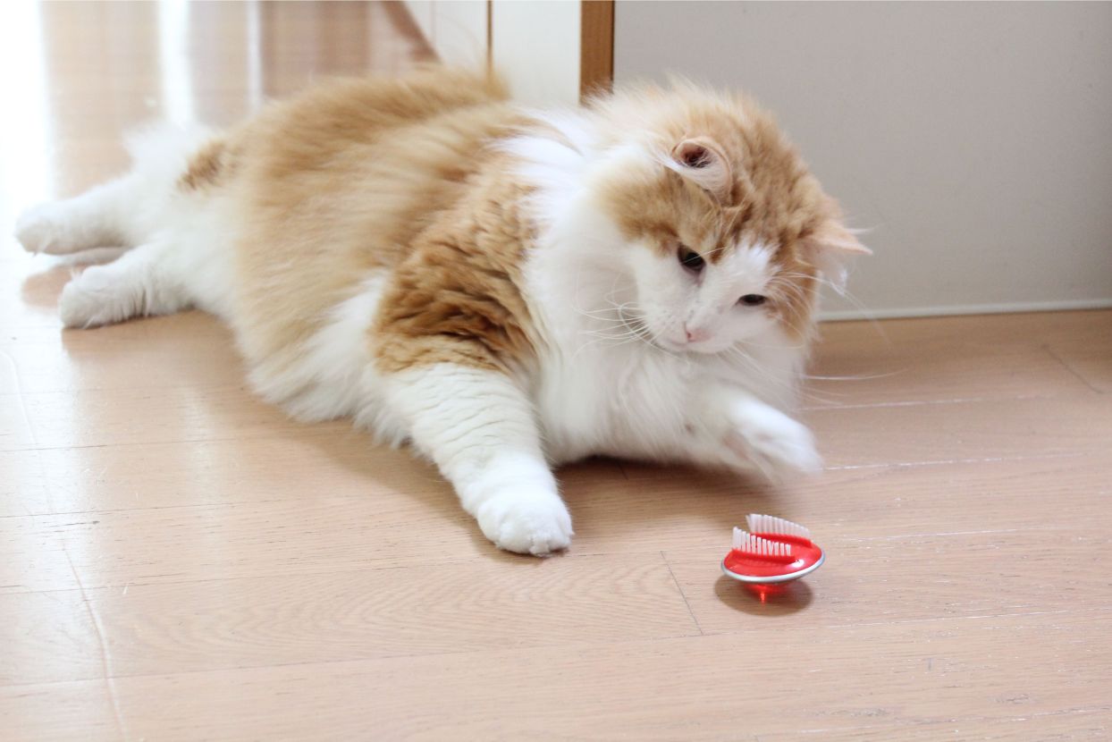 電動の猫用おもちゃ エルシック UFOクリッター【猫/おもちゃ/猫じゃらし】