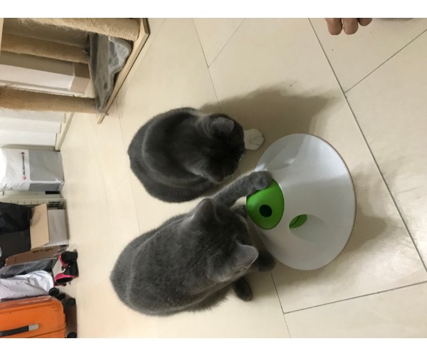 普通のおもちゃに飽きたペットちゃんへ エルシック スナックボールパズラー 【猫/おもちゃ/犬】