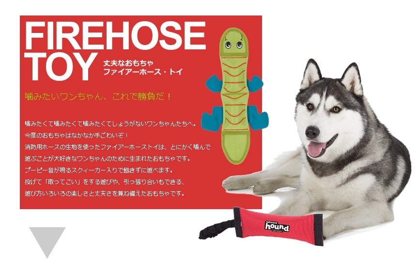 丈夫なおもちゃ アウトワードハウンド スクィ―ファイアーホース スクィ―カー入 Lサイズ【犬/おもちゃ/噛む/丈夫/鳴る】