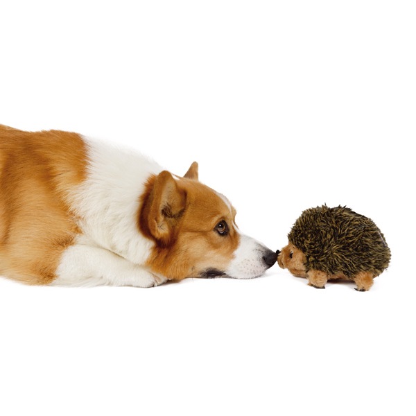 噛んでも壊れにくい形 スクイーク ヘッジホッグ Sサイズ【犬/おもちゃ/頑丈/鳴る】