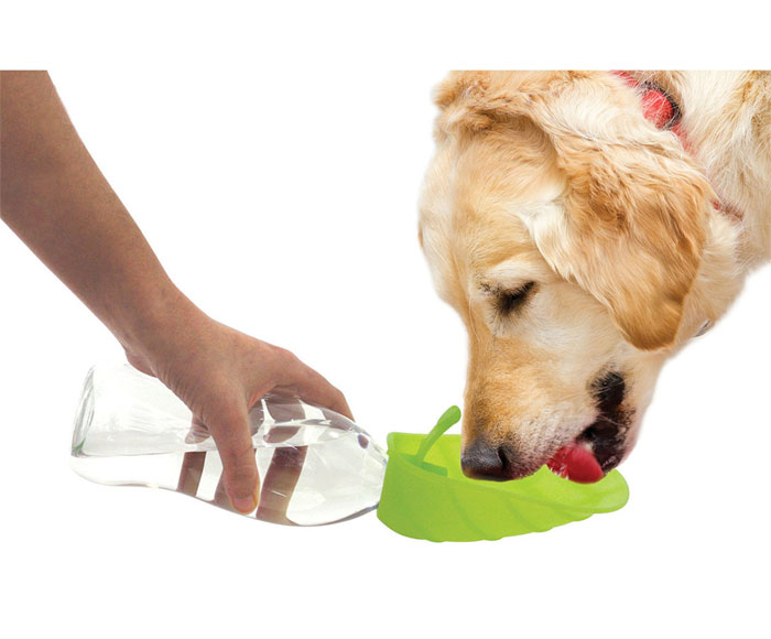 お散歩中の水分補給に ユナイテッドペッツ リーフ 全2色 UNITED PETS 【犬/お散歩/給水】