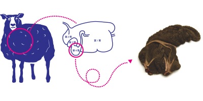 肉類93%以上配合 ジーランディア ドッグ サーモン 185g 【犬/ドックフード/ウェットフード/トライプ/穀物不使用】