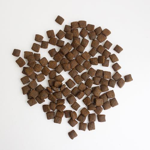 グレインフリー AATU アートゥー ダック ドッグフード 1.5kg 総合栄養食 【犬/ドッグード/穀物フリー】