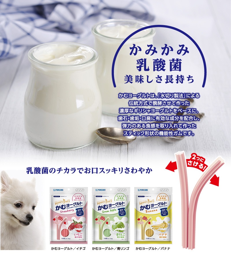 【メール便対応可】カミカミ乳酸菌 かむヨーグルト イチゴ 14本入り ハッピー・スリーフェアリー 【犬/ガム/おやつ】