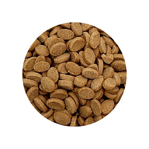 一袋に1兆個の乳酸菌 犬の雑穀ごはん 機能性ライト 800g 【正規品/無香/国産/アレルギー】