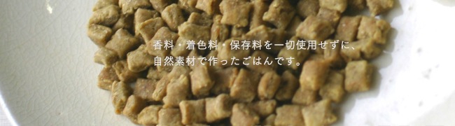 国産キャットフード たまのカリカリねこまんま シニア猫用 500g アニマル・ワン 【正規品/無香料/猫/国産/アレルギー】