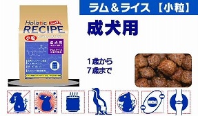 Holistic RECIPE ホリスティックレセピー ドックフード ラム&ライス 小粒 成犬用 2.4kg 【犬/ドッグフード/成犬/アダルト】