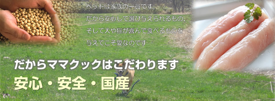 【メール便対応可】 ママクック チーズのビスケット 65g 【犬用/おやつ/国産/無添加/ビスケット】