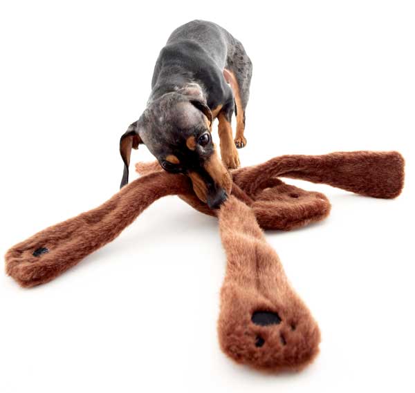 室内犬のストレス解消に DOGGLES Bear Brown Penta Pull 【犬/おもちゃ/振り回す/ストレス解消】