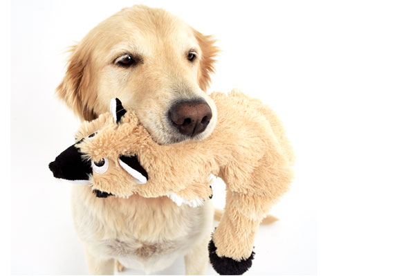 犬の安全のため詰め物が入っていないおもちゃ DOGGLES スカンク Bottle Toy 【犬/ぬいぐるみ/安全/綿なし】