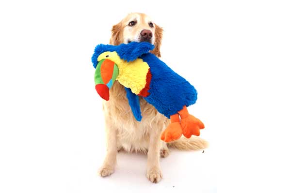 底部のポケットにペットボトルが入る DOGGLES Blue Toucan 【犬/おもちゃ/振り回す/大型犬】