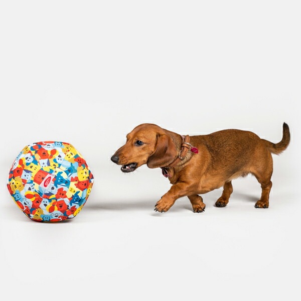 風船を使ったおもちゃ Petbloon ペットブルーン ドッグ・バルーン 【犬/ボール/風船】